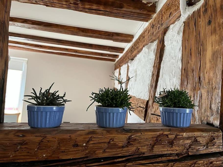 Nouvel Appartement, Le Colombage Heureux 셀레스탓 외부 사진