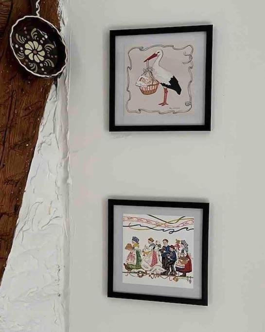 Nouvel Appartement, Le Colombage Heureux 셀레스탓 외부 사진