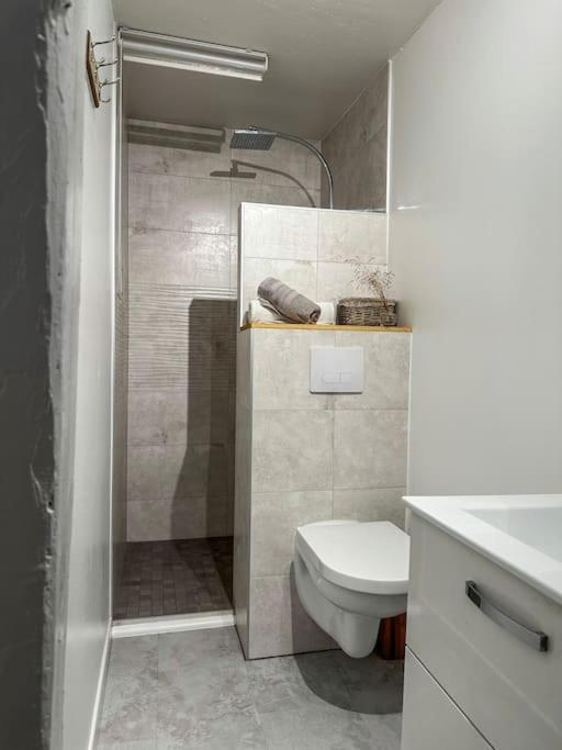 Nouvel Appartement, Le Colombage Heureux 셀레스탓 외부 사진